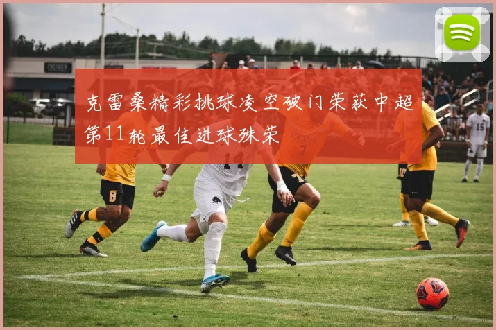 克雷桑精彩挑球凌空破门荣获中超第11轮最佳进球殊荣