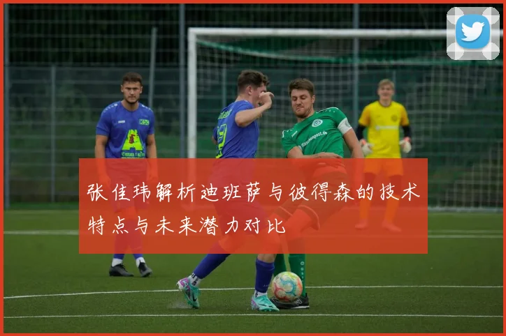 张佳玮解析迪班萨与彼得森的技术特点与未来潜力对比